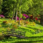 Peter Gill Park