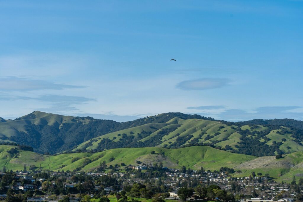 scenic view of green hills and urban landscape